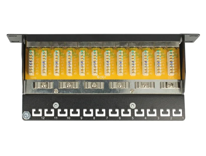 Delock_10____Patchpanel_12_Port_Cat_6_grau__3_da4308ff