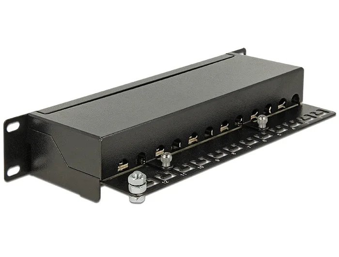 Delock_10____Patchpanel_12_Port_Cat_6A_schwarz__2_33151968