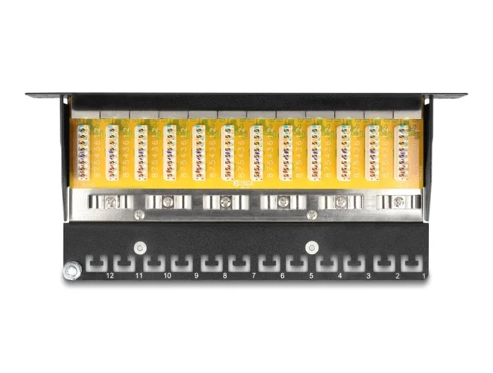 Delock_10____Patchpanel_12_Port_Cat_6_schwarz__3_5b042657